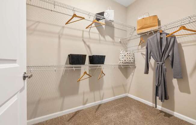 Langley Pointe Apartments | Spacious Closets
