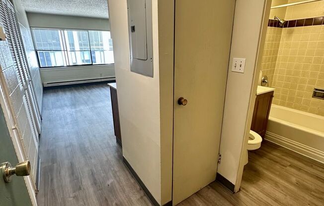 Studio, 1 bath, 302 sqft, $1,100, Unit 403