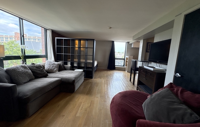 1 bed, 1 bath, 505 sqft, $2,700, Unit 1501