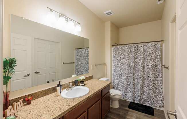 Furnished Bathroom at North Peak Apartments