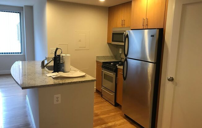 Studio, 1 bath, 460 sqft, $2,200