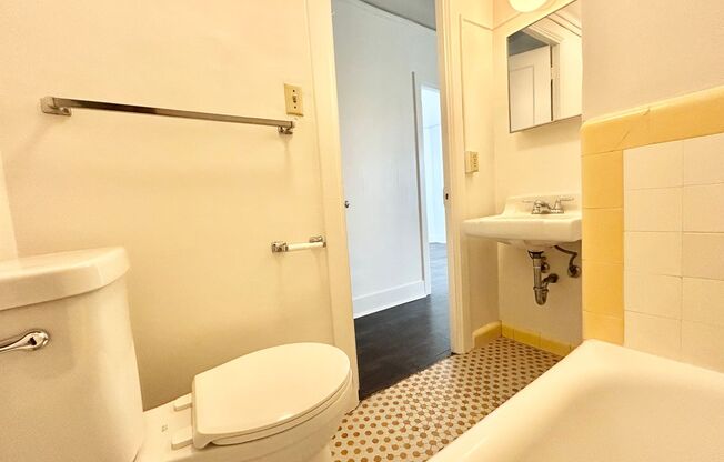 1 bed, 1 bath, 335 sqft, $1,450, Unit 308