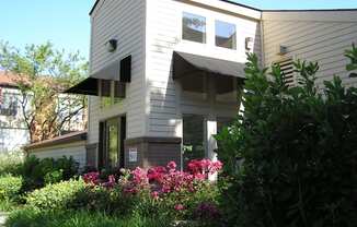 West End Terrace