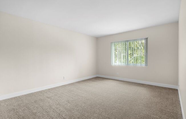 A room with a carpeted floor and a window with blinds.