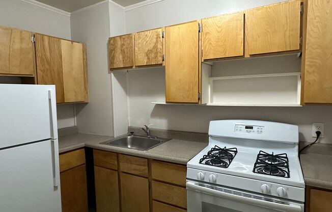 Studio, 1 bath, 280 sqft, $1,095, Unit 102