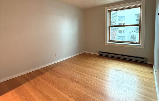 1 bed, 1 bath, 540 sqft, $1,595, Unit 404