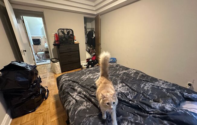 1 bed, 1 bath, $1,095, Unit 104