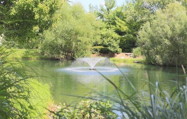 Tiffany Lakes