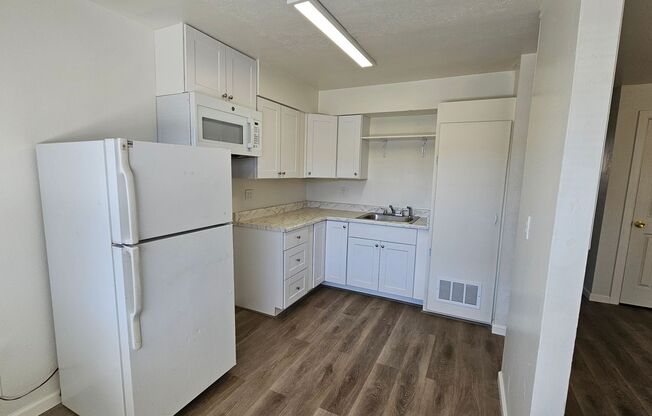 NSUR1257 3009  Rose 9-15