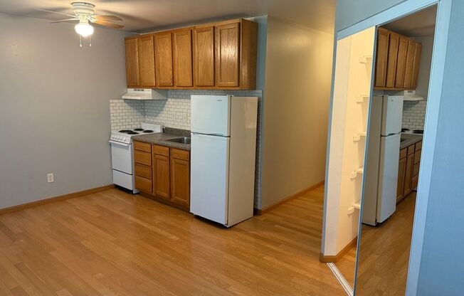 Studio, 1 bath, 350 sqft, $1,075, Unit Unit 101