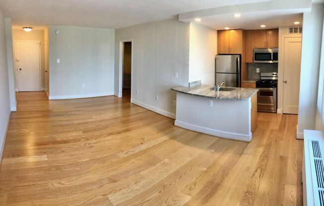Studio, 1 bath, 440 sqft, $2,300, Unit 0215