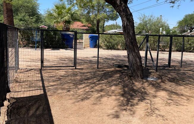 Charming Studio Near the University of Arizona!