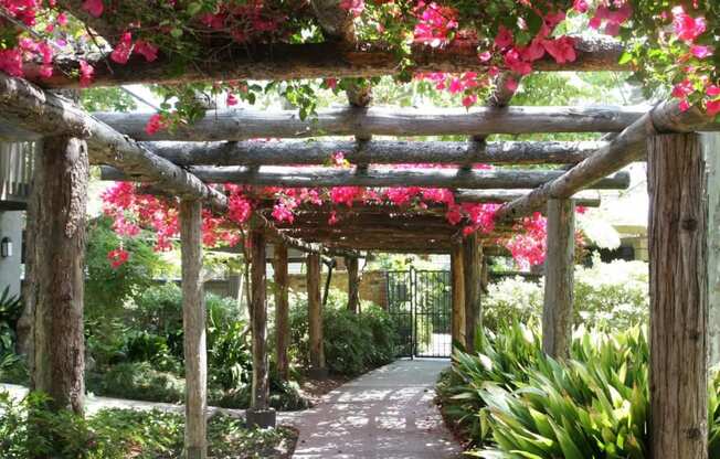 a covered walkway with pink flowers and benches