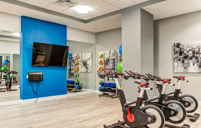 Pelton Bikes at Allure Apollo, Camp Springs Maryland