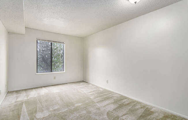 A bedroom with a large window and carpeted floor at West Wind Apartments, Fort Wayne, 46808