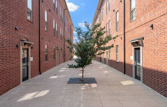 Walkway between Synergy Apartment Homes