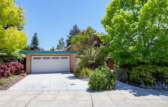 4 Bed / 2 Bath Welcoming Midtown Palo Alto home for rent. YouTube tour!!