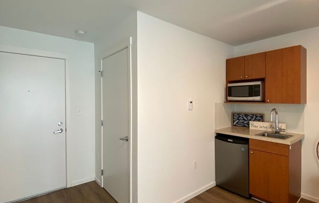 Studio, 1 bath, 175 sqft, $1,195, Unit 4315