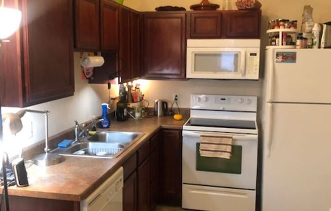 Studio, 1 bath, 600 sqft, $995, Unit 202