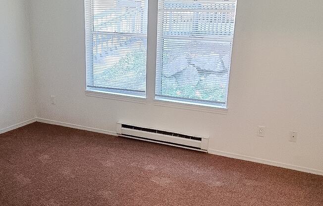 A room with a carpeted floor and a window with blinds.