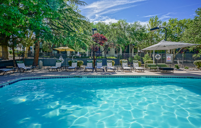 Swimming pool with resort-style furniture at Treehouse Apartments in Albuquerque, New Mexico