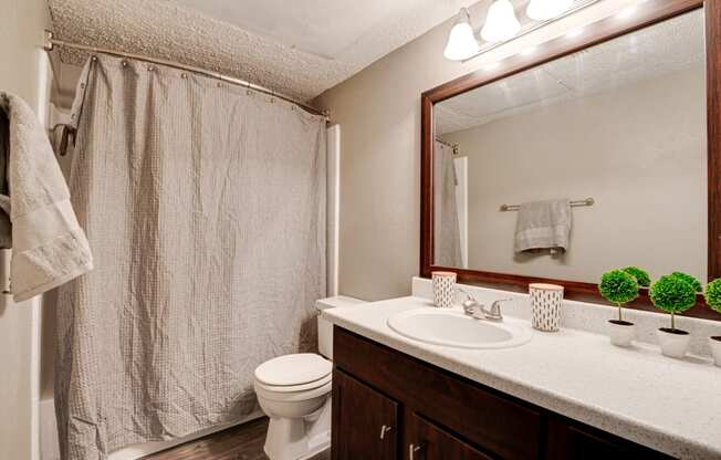 a bathroom with a shower toilet and sink and a mirror