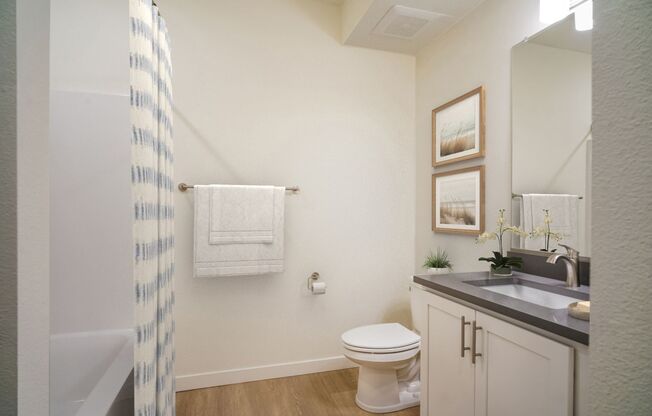 1 bed, 1 bath, 655 sqft, $1,395, Unit 313