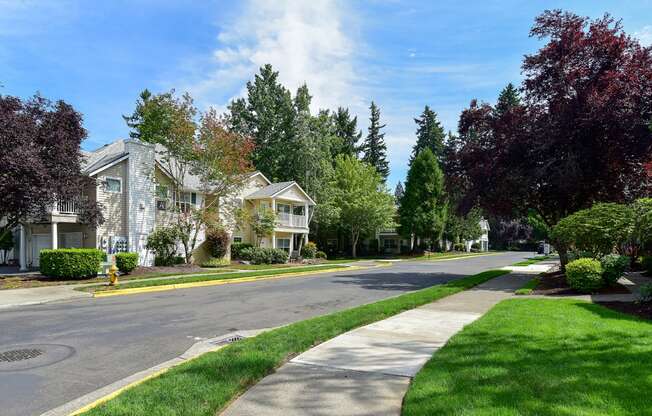 a street with houses on the side of a street