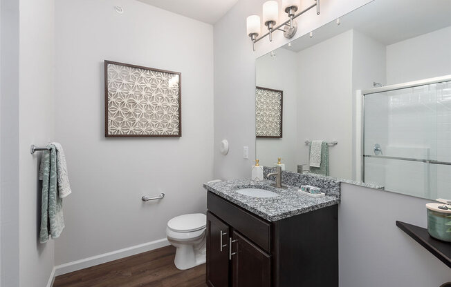 a bathroom with a sink and a toilet and a mirror