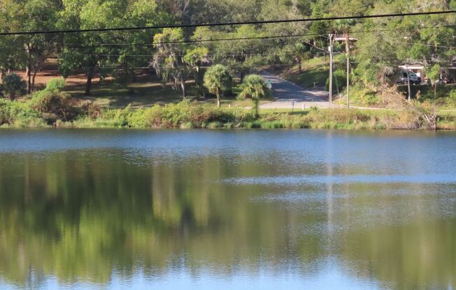 Sunnyside Lakeview 2br/2ba Apartment