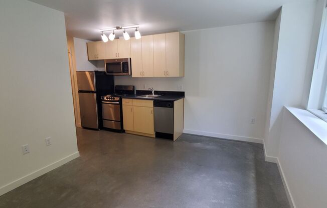 Studio, 1 bath, 248 sqft, $1,295, Unit B09