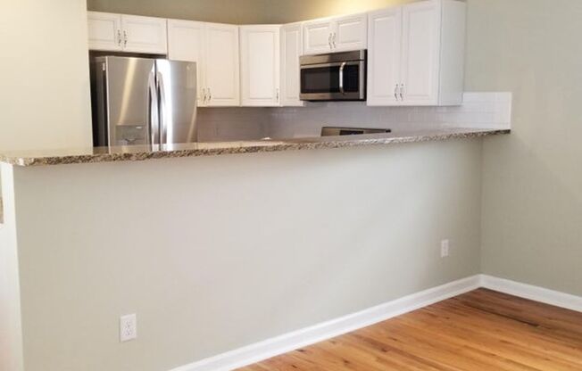 Available 8/1. Beautiful 3 BR/2 BA Home in the Heart of Downtown Charleston!
