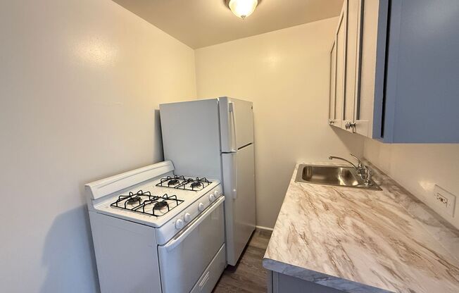 Studio, 1 bath, 300 sqft, $1,050, Unit 5528-108