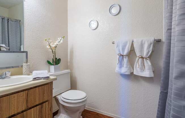 Somerpointe bathroom with vanity sink and large tub