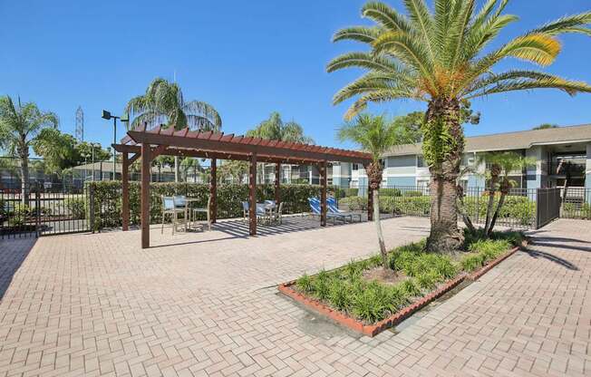 A palm tree is in the foreground of a sunny courtyard.