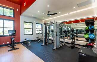 a gym with weights and cardio machines and a ceiling fan