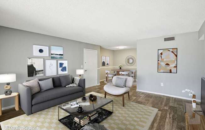 A living room with a grey couch, a coffee table, and a television.