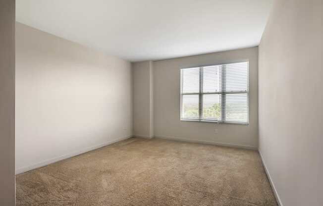 an empty room with a window and carpet