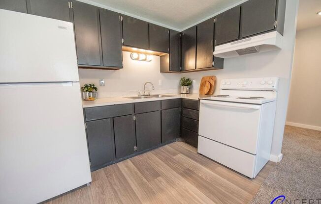 1 bed, 1 bath, 480 sqft, $899, Unit 190