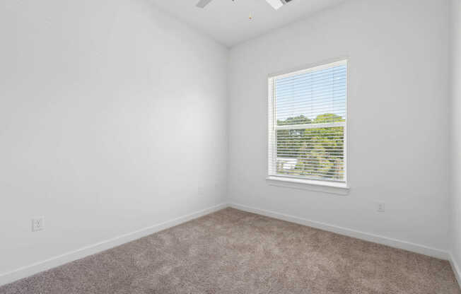 Bedroom with Hard Surface Flooring