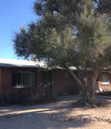 Studio, 1 bath, 380 sqft, $832, Unit 413