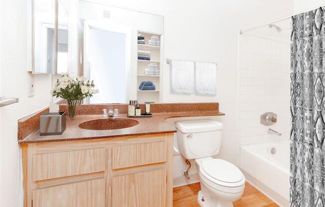 Bathroom with Shower & Tub at Cimarron Place Apartments, Tucson, 85712