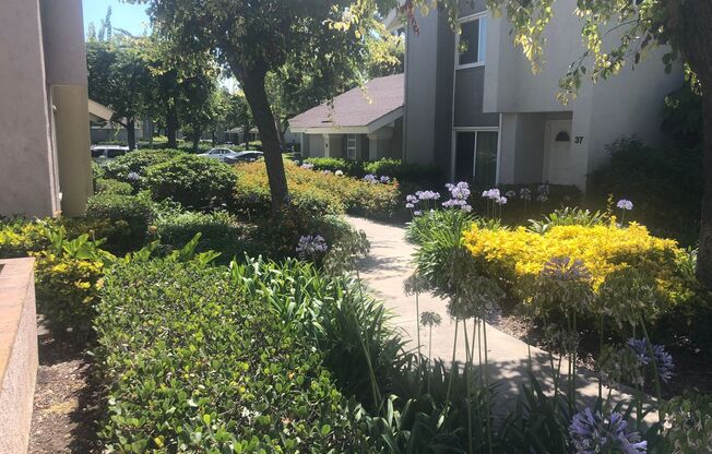 **Coming Soon** Modern Irvine Townhome in Desirable Deerfield Neighborhood