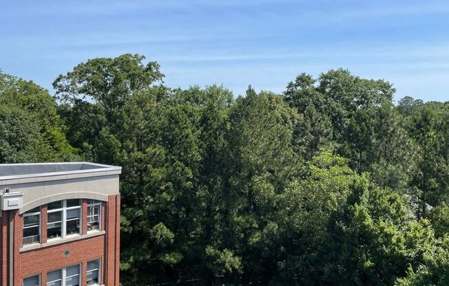 Studio, 1 bath, 900 sqft, $1,750, Unit A-509