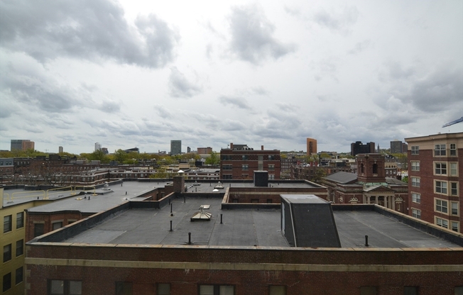 Studio, 1 bath, 389 sqft, $3,050, Unit 603
