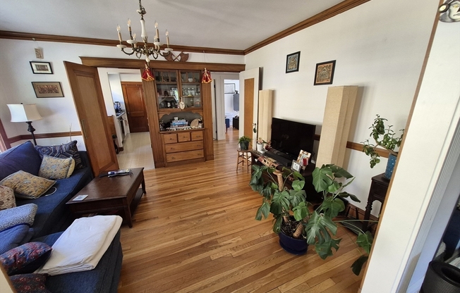 15 WHITE ST