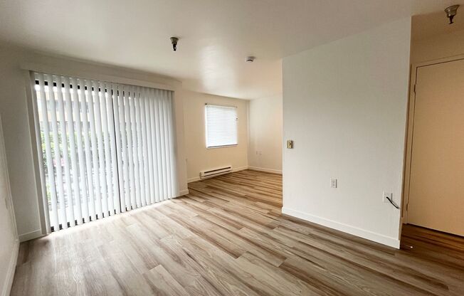 Studio, 1 bath, 480 sqft, $1,595, Unit 121