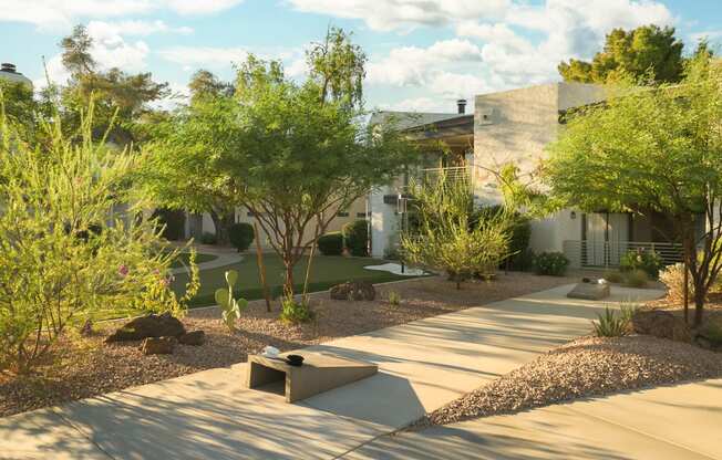 a courtyard with trees and a house in the background