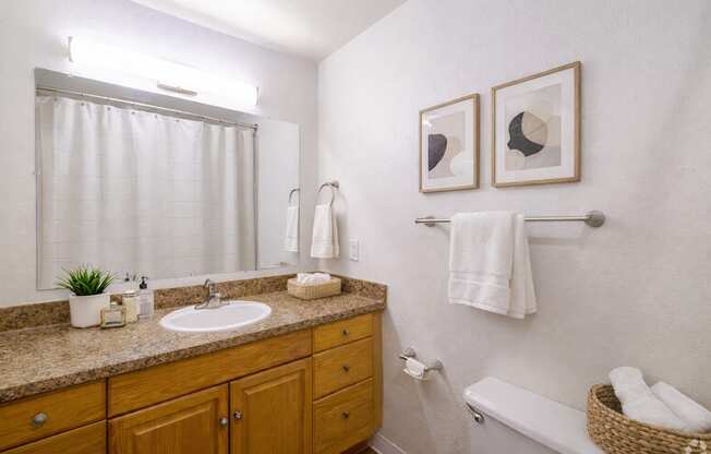 A bathroom with a sink, mirror, and towel rack.