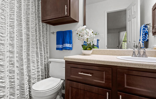 a bathroom with a toilet and a sink and a mirror